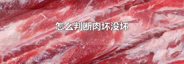 怎么判断肉坏没坏