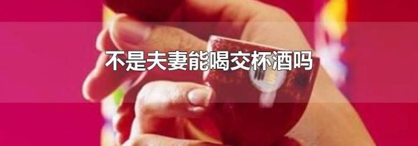 不是夫妻能喝交杯酒吗