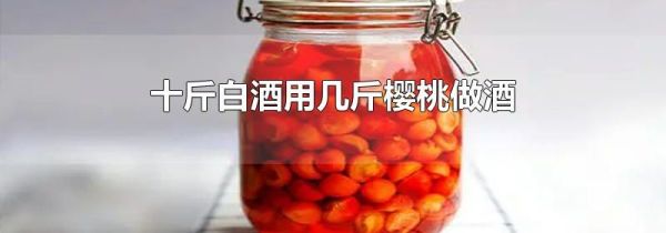 十斤白酒用几斤樱桃做酒