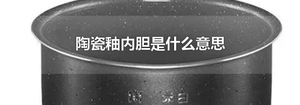 陶瓷釉内胆是什么意思