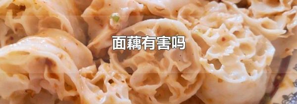 面藕有害吗