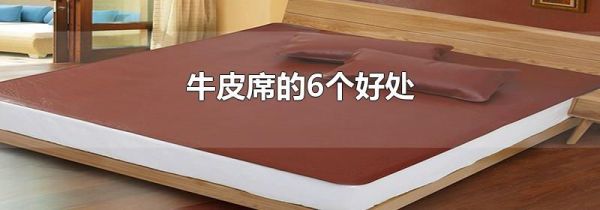 牛皮席的6个好处