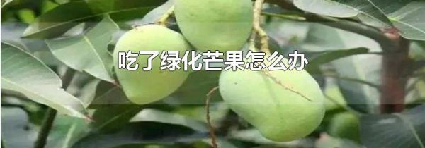 吃了绿化芒果怎么办