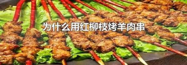 为什么用红柳枝烤羊肉串