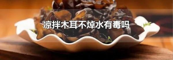凉拌木耳不焯水有毒吗