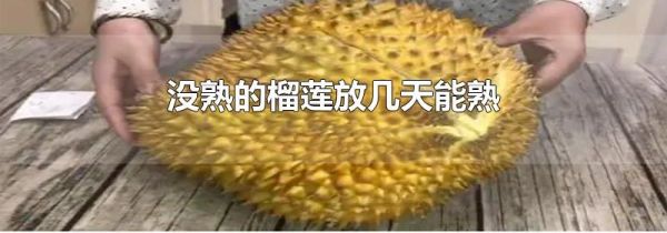 没熟的榴莲放几天能熟