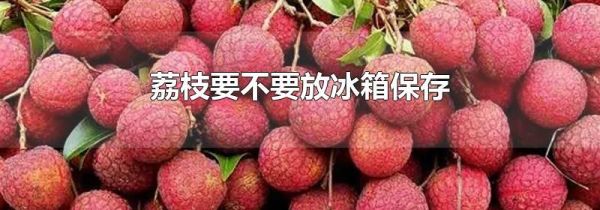 荔枝要不要放冰箱保存