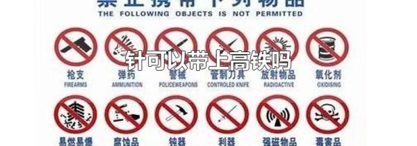 针可以带上高铁吗
