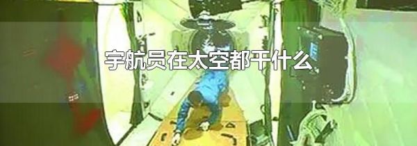 宇航员在太空都干什么