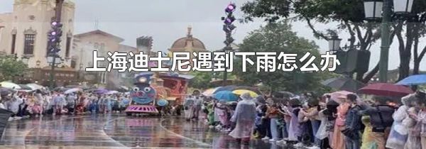 上海迪士尼遇到下雨怎么办