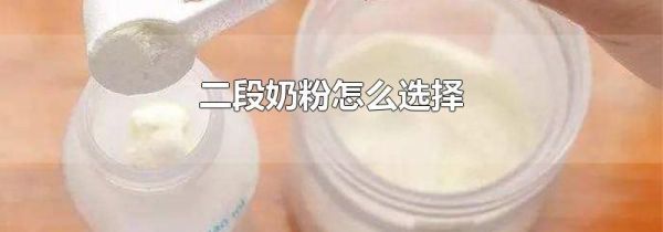 二段奶粉怎么选择
