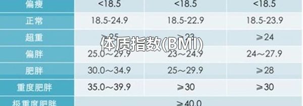 体质指数(BMI)