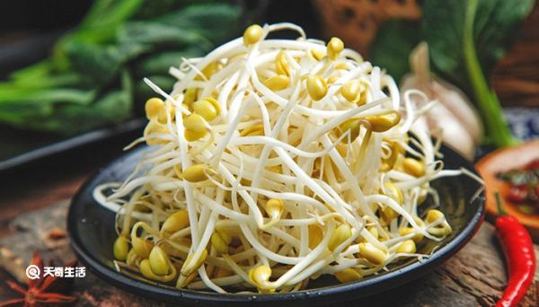 豆芽怎么保存过夜 豆芽如何保存