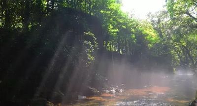 处暑吃鸭，送病各家！这里有一份处暑指南待你查收！