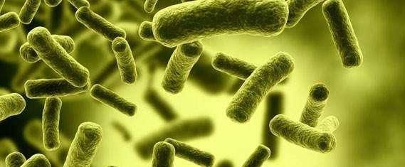 白露节气后，是3种慢性病爆发期，多吃这些帮你“保平安”