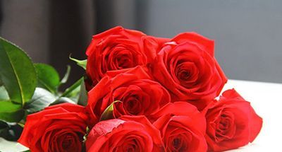 母亲节该送什么花？看完这些不再愁怎么选花了