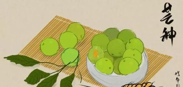 “草生芒种后，叶落立秋前” 芒种都有哪些习俗