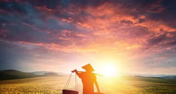 【芒种】愿你收获美好，播种希望