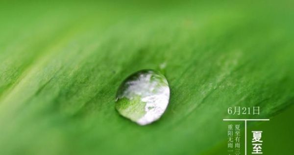 夏至将至：与夏至节气有关的诗句和壁纸