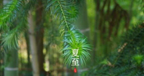 夏至将至：与夏至节气有关的诗句和壁纸