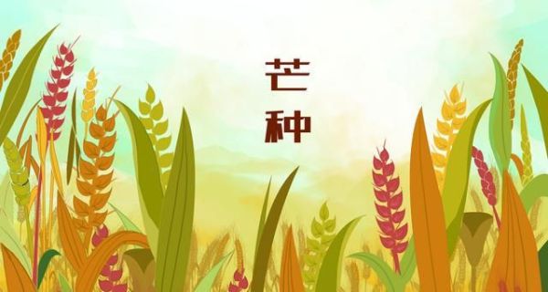 “草生芒种后，叶落立秋前” 芒种都有哪些习俗