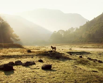 那些关于夏至的记忆!