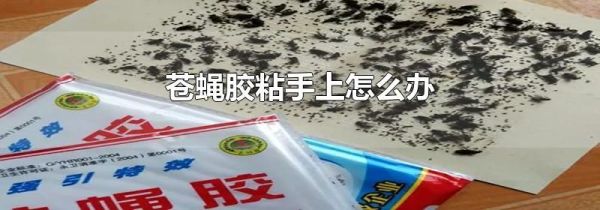 苍蝇胶粘手上怎么办