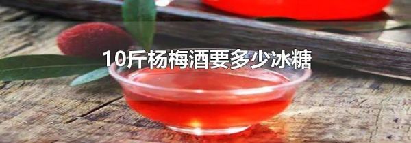 10斤杨梅酒要多少冰糖