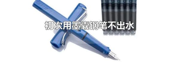 初次用墨囊钢笔不出水