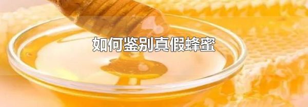 如何鉴别真假蜂蜜