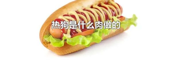 热狗是什么肉做的