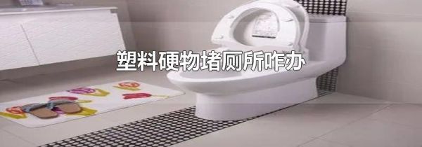 塑料硬物堵厕所咋办