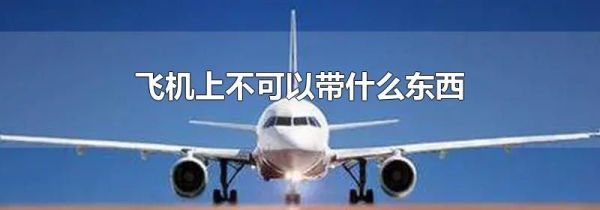 飞机上不可以带什么东西