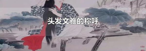 头发文雅的称呼