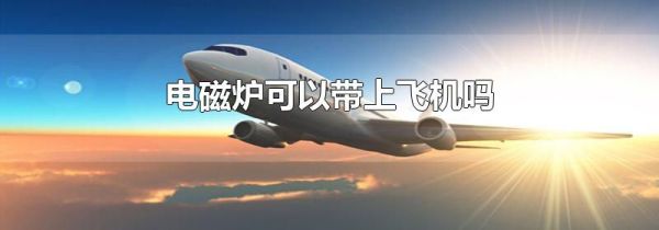 电磁炉可以带上飞机吗