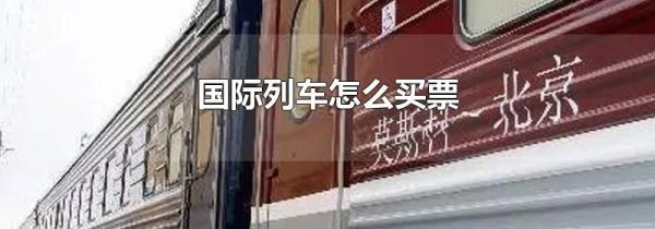 国际列车怎么买票