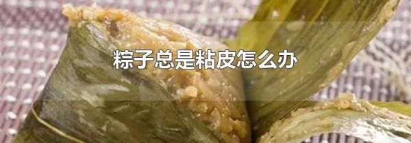 粽子总是粘皮怎么办