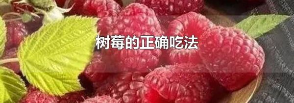 树莓的正确吃法