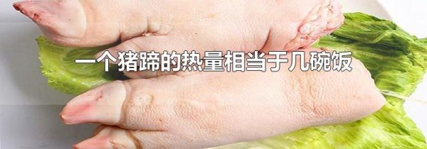 一个猪蹄的热量相当于几碗饭