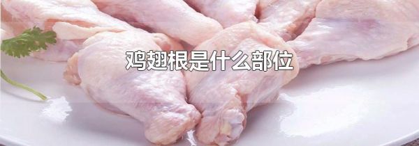 鸡翅根是什么部位