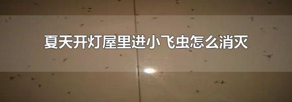 夏天开灯屋里进小飞虫怎么消灭