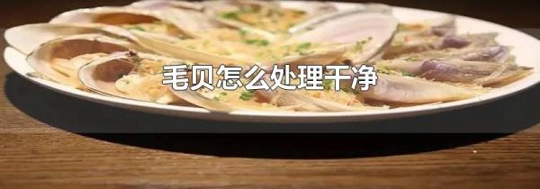 毛贝怎么处理干净