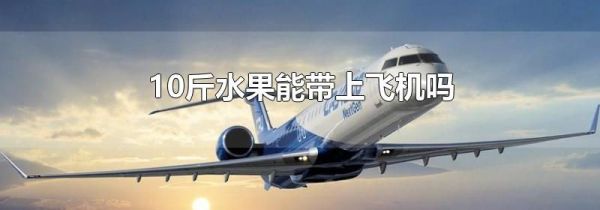 10斤水果能带上飞机吗