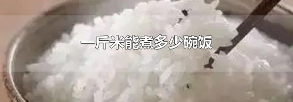 一斤米能煮多少碗饭
