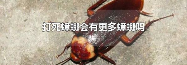 打死蟑螂会有更多蟑螂吗