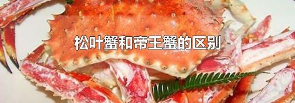 松叶蟹和帝王蟹的区别