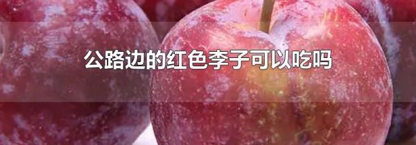 公路边的红色李子可以吃吗