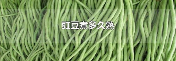 豇豆煮多久熟