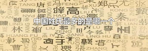 中国姓氏最多的是哪一个