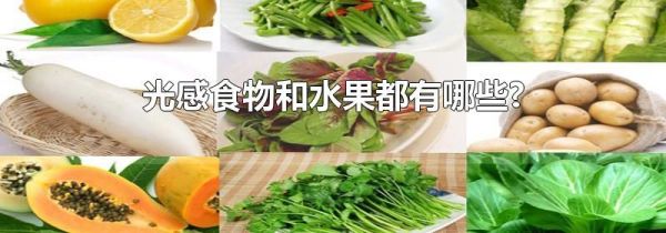 光感食物和水果都有哪些?